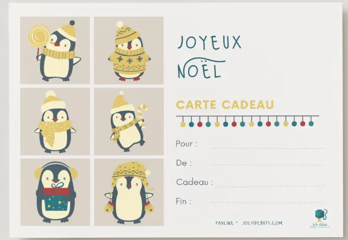 carte cadeau version papier à Albi carte cadeau de noël pour grossesse et post-partum